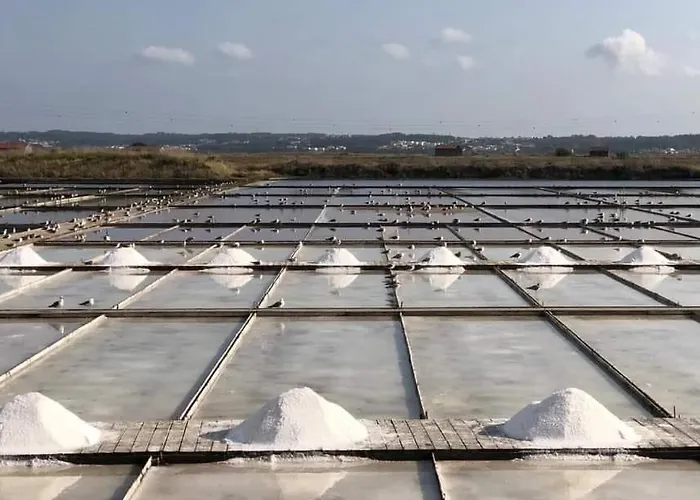 Mirasol 10 * Figueira da Foz